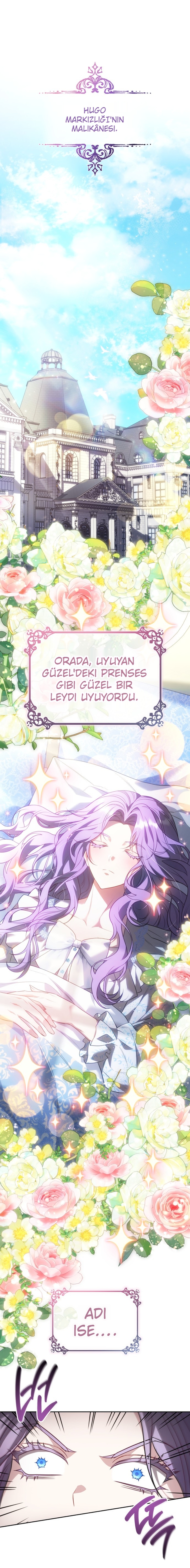 Acil Sözleşmeli Evlilik Bölüm Bölüm 1 Sayfa 1