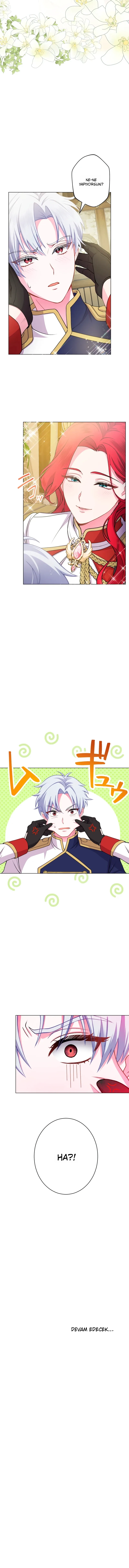 Rejeneratif sihir çok iyi çalıştı! Bölüm Bölüm 1 Sayfa 13