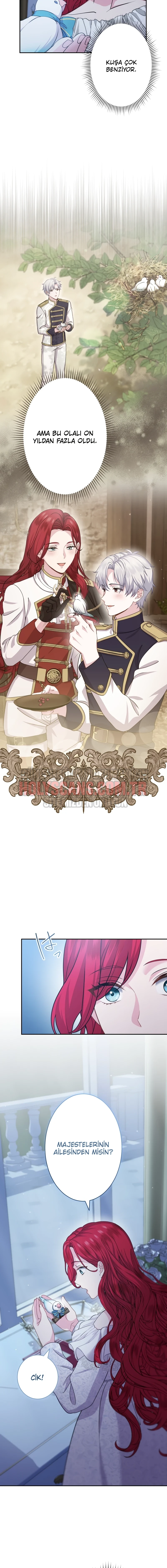 Rejeneratif sihir çok iyi çalıştı! Bölüm Bölüm 23 Sayfa 2