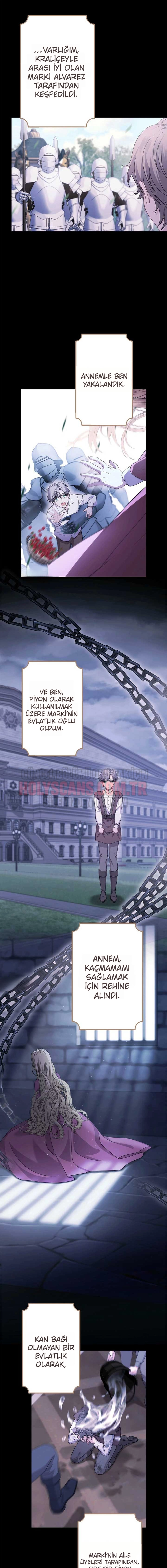 Rejeneratif sihir çok iyi çalıştı! Bölüm Bölüm 27 Sayfa 5