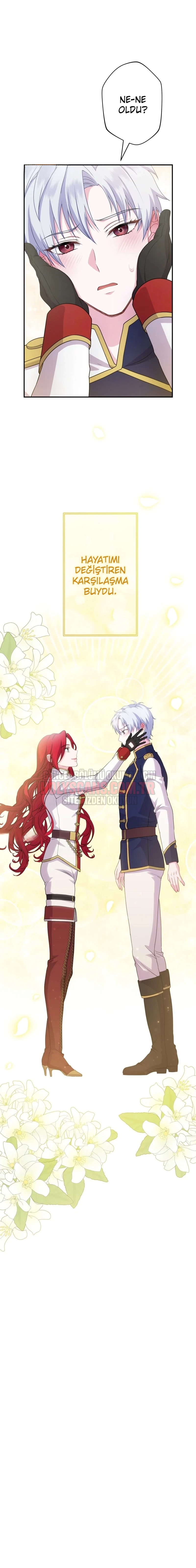 Rejeneratif sihir çok iyi çalıştı! Bölüm Bölüm 28 Sayfa 20
