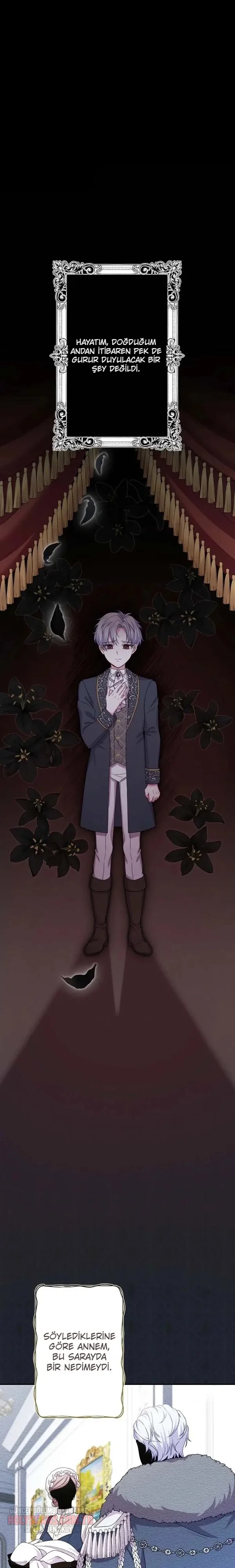 Rejeneratif sihir çok iyi çalıştı! Bölüm Bölüm 29 Sayfa 1