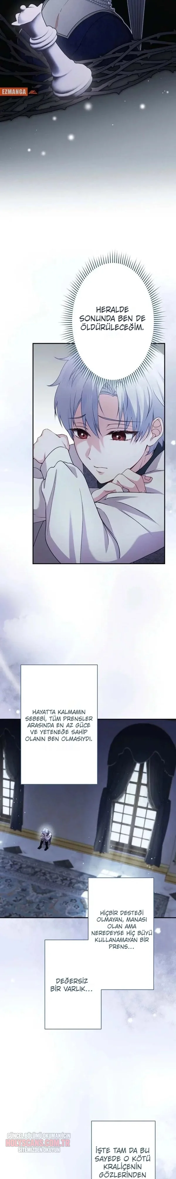 Rejeneratif sihir çok iyi çalıştı! Bölüm Bölüm 29 Sayfa 3