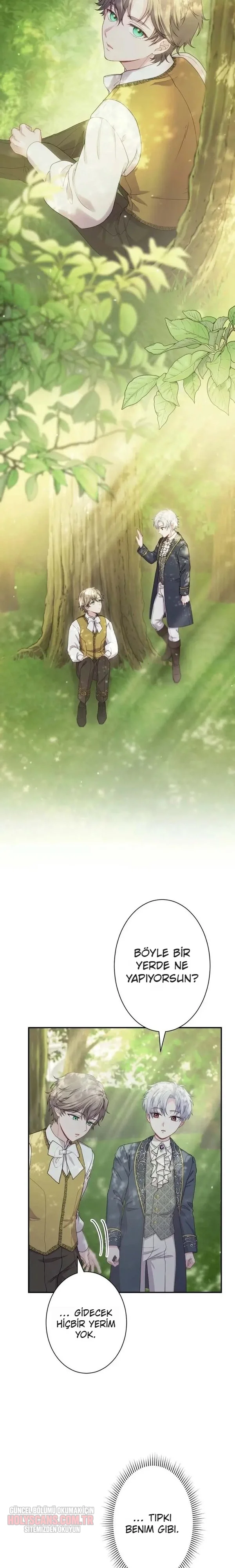 Rejeneratif sihir çok iyi çalıştı! Bölüm Bölüm 29 Sayfa 12