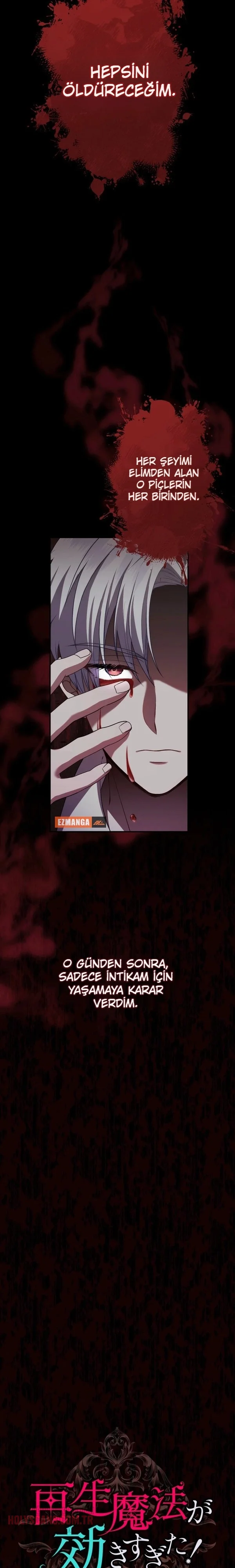 Rejeneratif sihir çok iyi çalıştı! Bölüm Bölüm 31 Sayfa 3