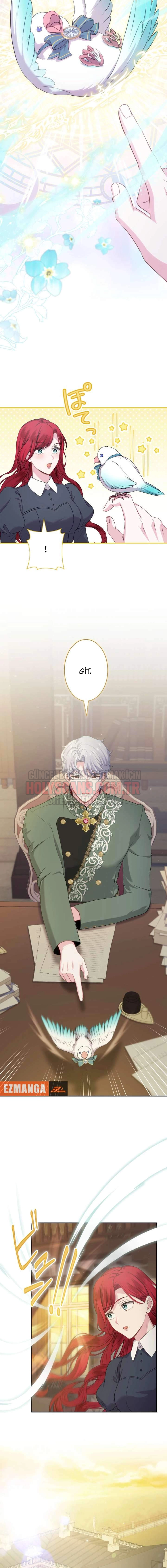 Rejeneratif sihir çok iyi çalıştı! Bölüm Bölüm 41 Sayfa 8