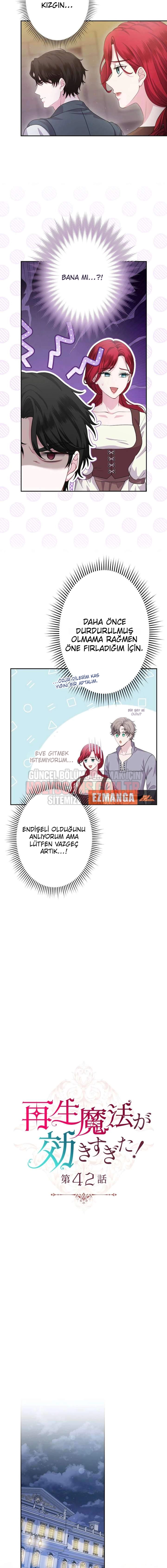 Rejeneratif sihir çok iyi çalıştı! Bölüm Bölüm 42 Sayfa 2