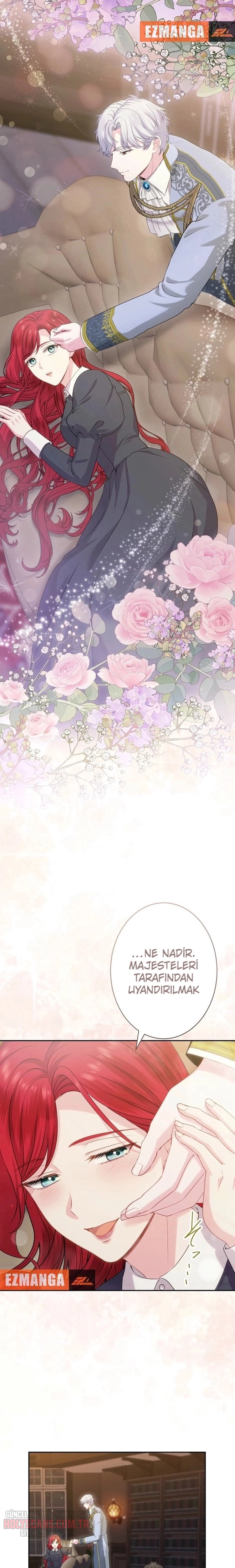 Rejeneratif sihir çok iyi çalıştı! Bölüm Bölüm 45 Sayfa 19