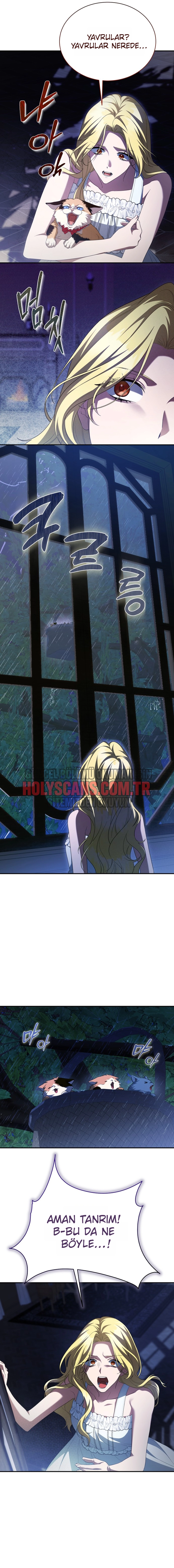 Sahte Evliliğin Sonu Bölüm Bölüm 17 Sayfa 17